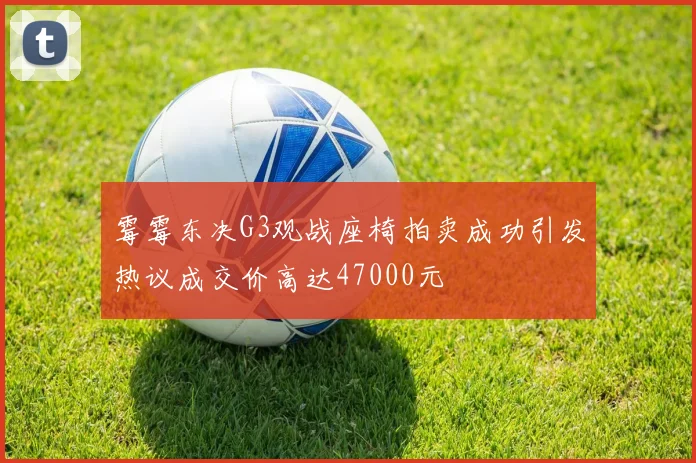 霉霉东决G3观战座椅拍卖成功引发热议成交价高达47000元